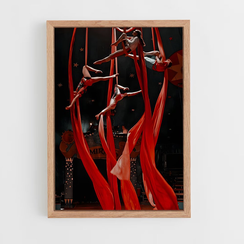 Poster Cirque de soleil (vue 4)